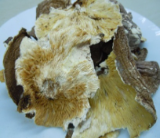 【OU】乾燥どんこ規格外品(1kg)